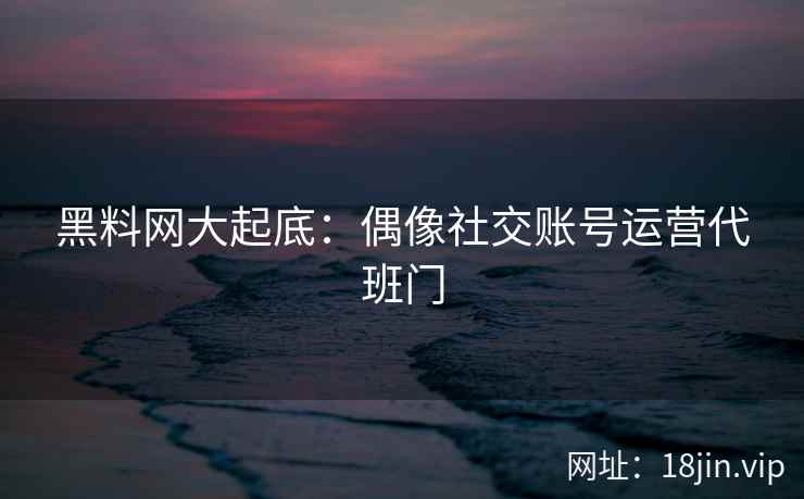 黑料网大起底：偶像社交账号运营代班门
