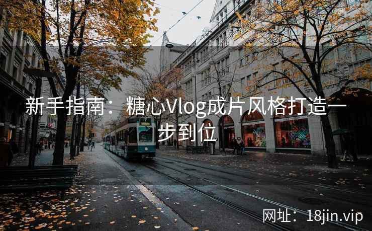 新手指南：糖心Vlog成片风格打造一步到位