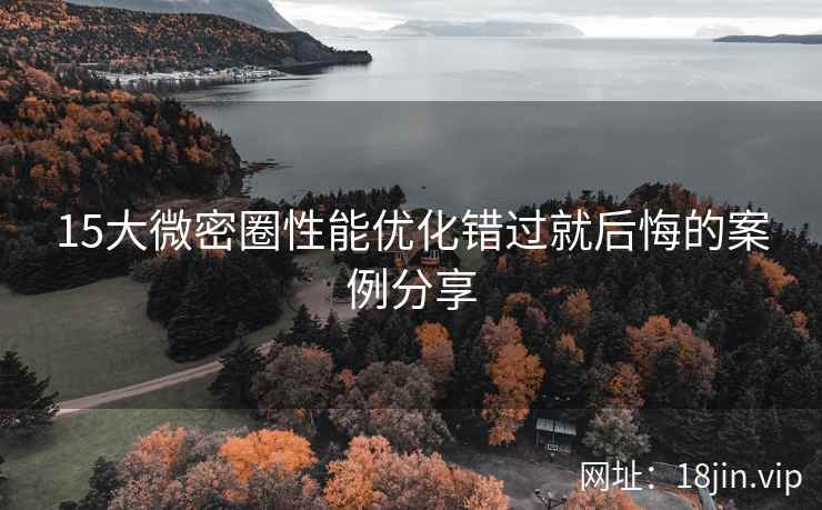 15大微密圈性能优化错过就后悔的案例分享