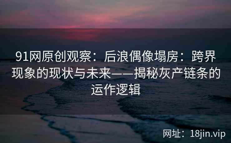 91网原创观察：后浪偶像塌房：跨界现象的现状与未来——揭秘灰产链条的运作逻辑