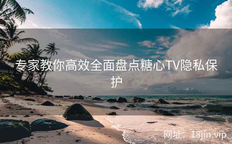 专家教你高效全面盘点糖心TV隐私保护