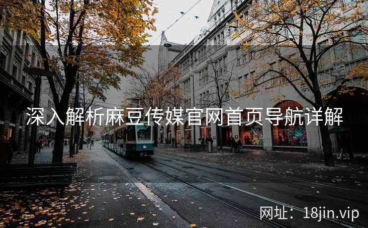 深入解析麻豆传媒官网首页导航详解