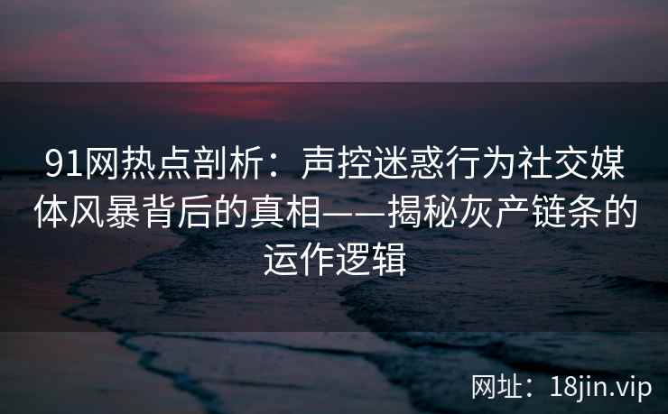 91网热点剖析：声控迷惑行为社交媒体风暴背后的真相——揭秘灰产链条的运作逻辑