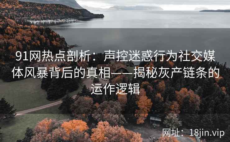 91网热点剖析：声控迷惑行为社交媒体风暴背后的真相——揭秘灰产链条的运作逻辑